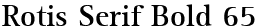 Rotis Serif Bold 65