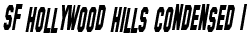 SF Hollywood Hills Condensed Italic